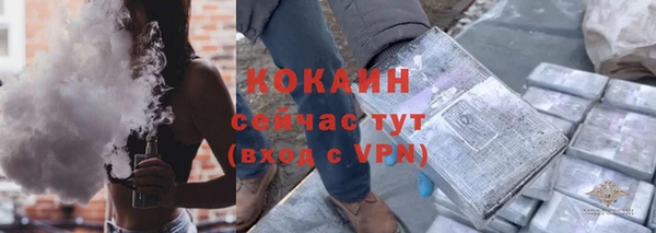 прущие грибы Киреевск