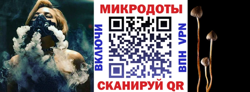 Галлюциногенные грибы Psilocybine cubensis  Купить где  Суздаль 